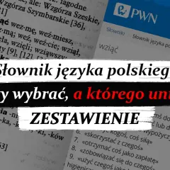 Słownik języka polskiego: Typy, online i jak wybrać idealny?