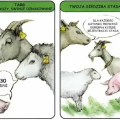 Co znaczy "tłumaczyć jak krowie na granicy"? Rozwiej wątpliwości!