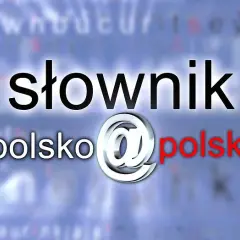 Słownik polsko polski Miodka: Czym naprawdę jest i gdzie go szukać?