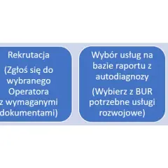 Dofinansowanie z BUR: Kto może skorzystać? Przewodnik dla MŚP