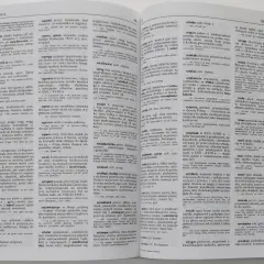 Stara książka z wyrazami obcymi, otwarta na stronie ze słowami na literę "S".