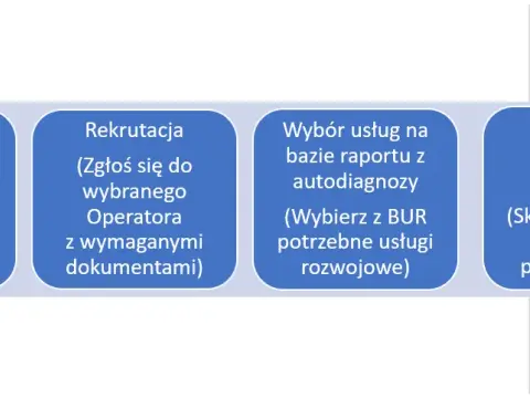 Dofinansowanie z BUR: Kto może skorzystać? Przewodnik dla MŚP