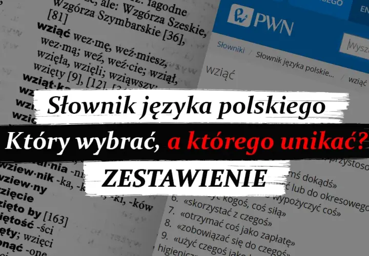 Słownik języka polskiego: Typy, online i jak wybrać idealny?