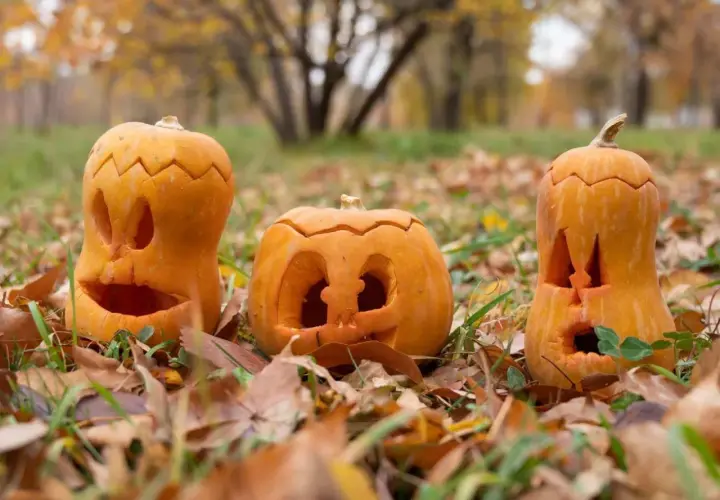 Halloween czy Haloween? Poznaj jedyną poprawną pisownię!