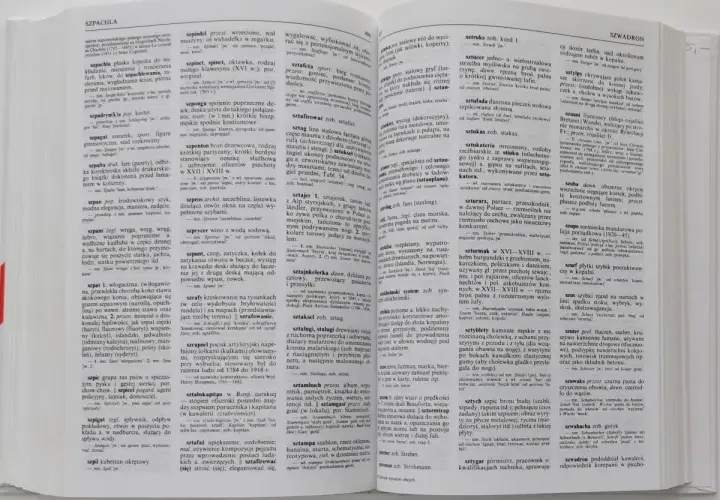Stara książka z wyrazami obcymi, otwarta na stronie ze słowami na literę "S".