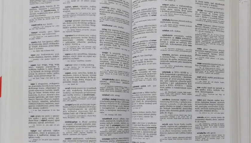 Stara książka z wyrazami obcymi, otwarta na stronie ze słowami na literę "S".