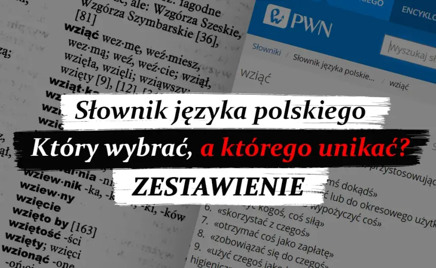 Słownik języka polskiego: Typy, online i jak wybrać idealny?