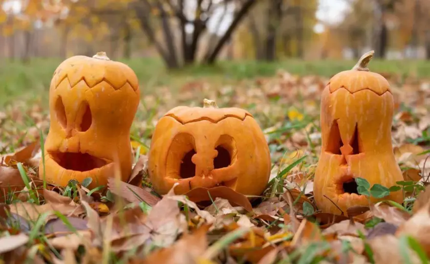 Halloween czy Haloween? Poznaj jedyną poprawną pisownię!