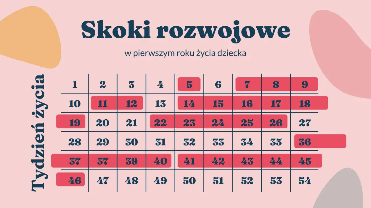 kalendarz skoków rozwojowych w pierwszym roku życia infografika